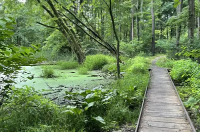 Jessie Smith Nature Preserve bridge