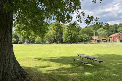 Depeyster Field picnic table and tree