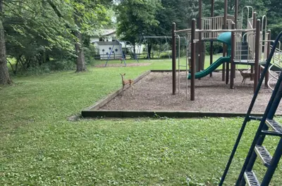 highland park playground