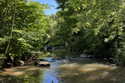 plum creek park