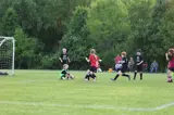 young children playing soccer while the goalie catches the ball
