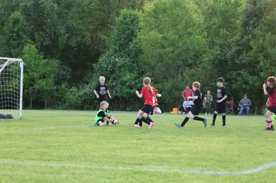 young children playing soccer while the goalie catches the ball