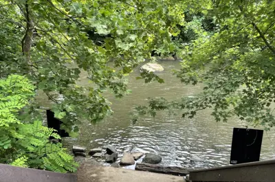 brady's leap park stairs