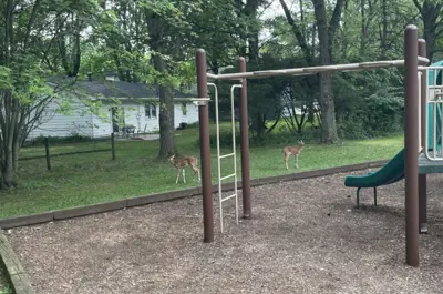 highland park playground