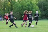 young children playing soccer