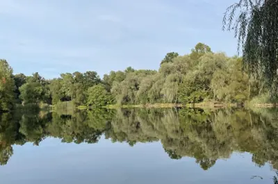 forest lakes wildlife preserve lake