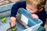 Young boy touching a toy tadpole